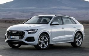 Audi Q8 55 TFSI Quattro 2018 года (WW)